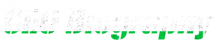 CEO Biography