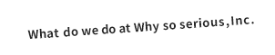 What do we do at Why so serious, Inc.